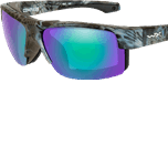 Polarized sunglasses 
