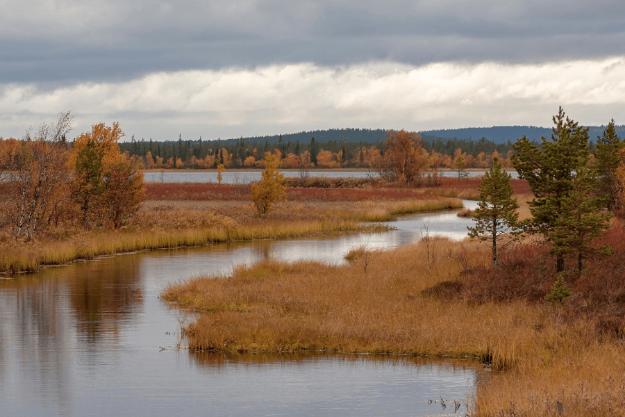Lapland autumn