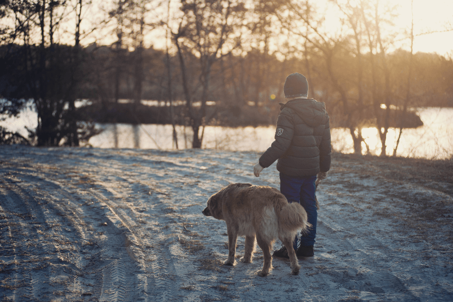 kluk na procházce se psem v zimě. Zdroj: https://www.pexels.com/cs-cz/foto/ryma-snih-silnice-zapad-slunce-341389/