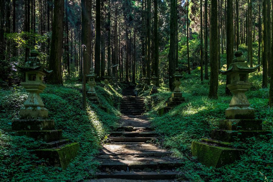 Schody v lese lemované japonskými kamennými lampami