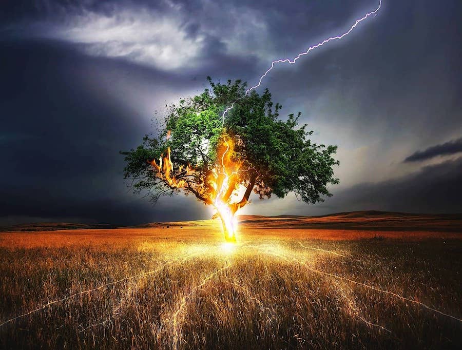 Strom zasiahnutý bleskom