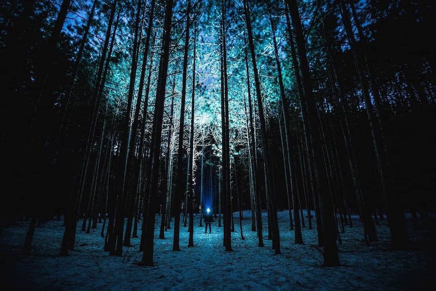 Muž v noci v lese se svítilnou